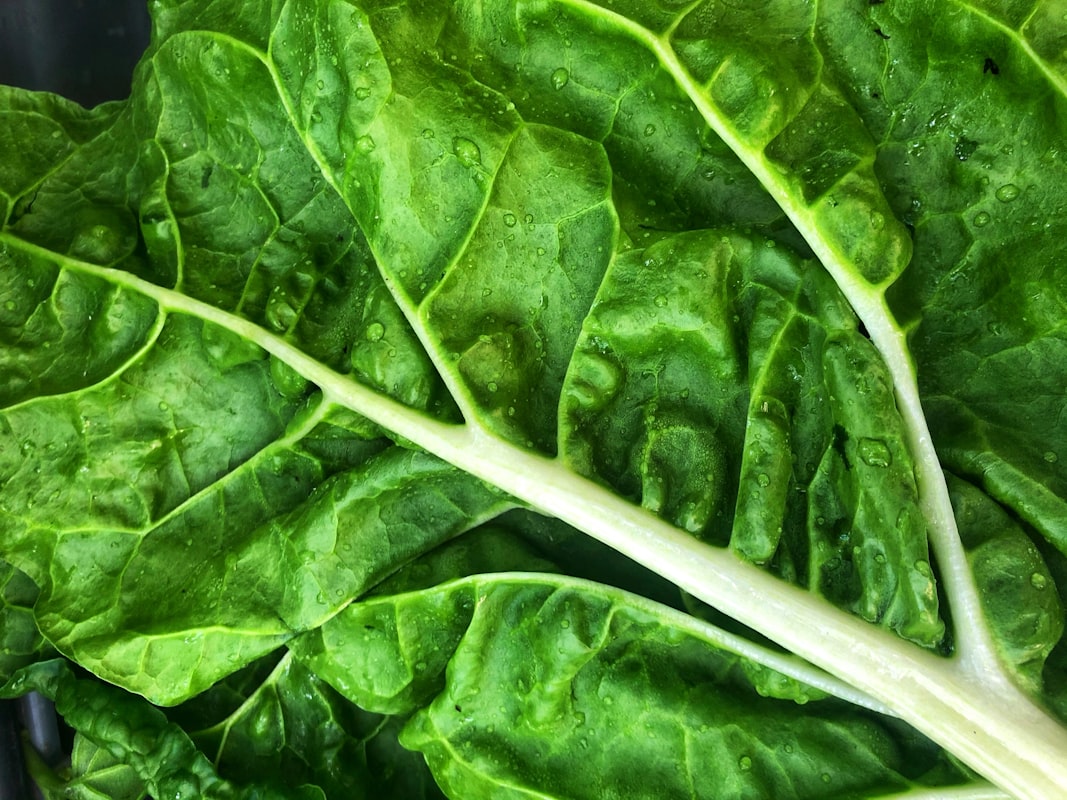 Calcium and magnesium salad
